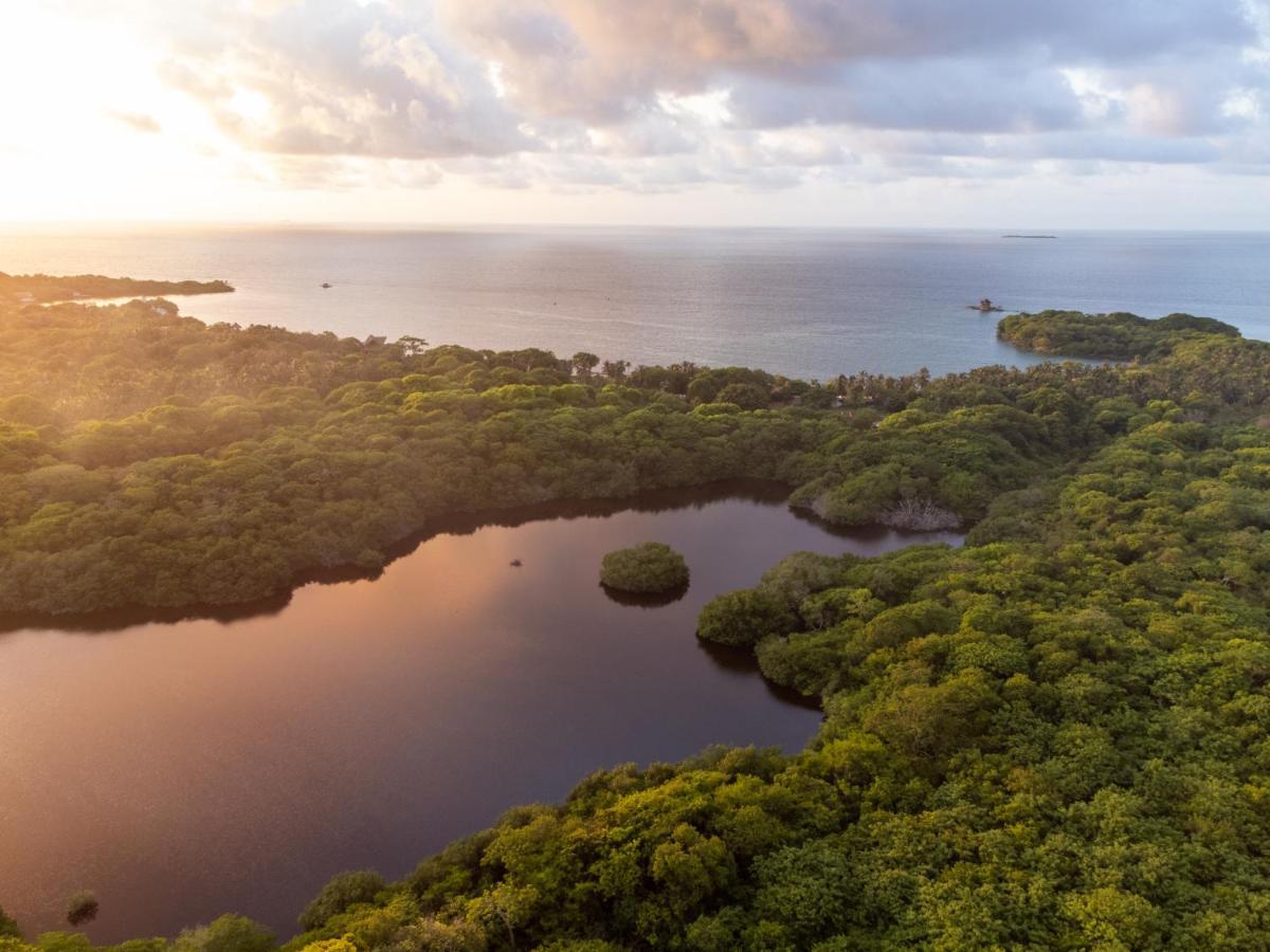 Rosario Ecohotel Isla Grande  Kültér fotó